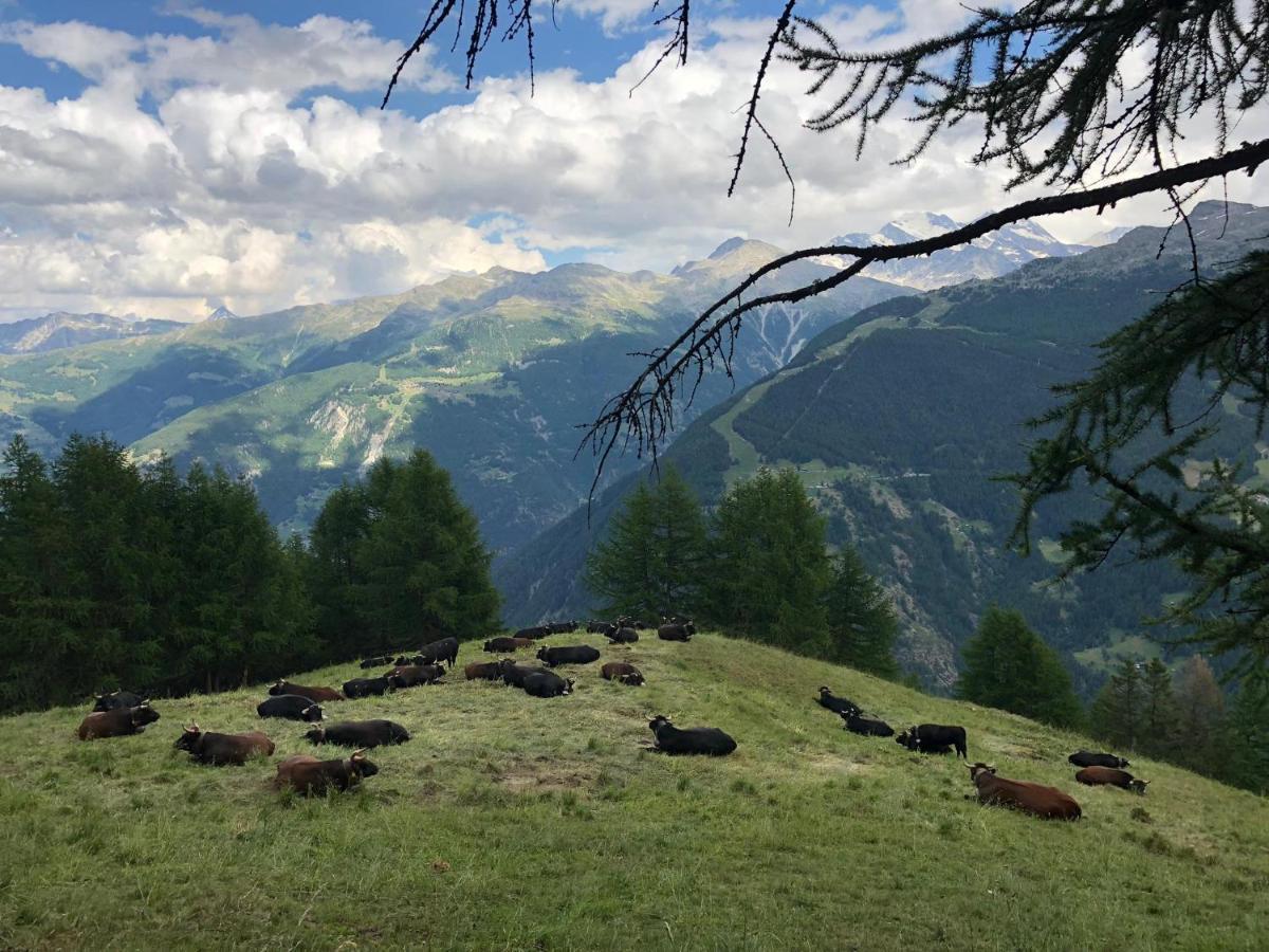 Bergbeiz Morgenrot B&B Embd ภายนอก รูปภาพ